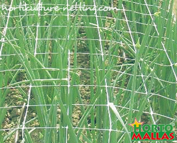 Support netting or tutoring nettings are very easy to install and don’t retain moisture as they have been made from one single piece of material.