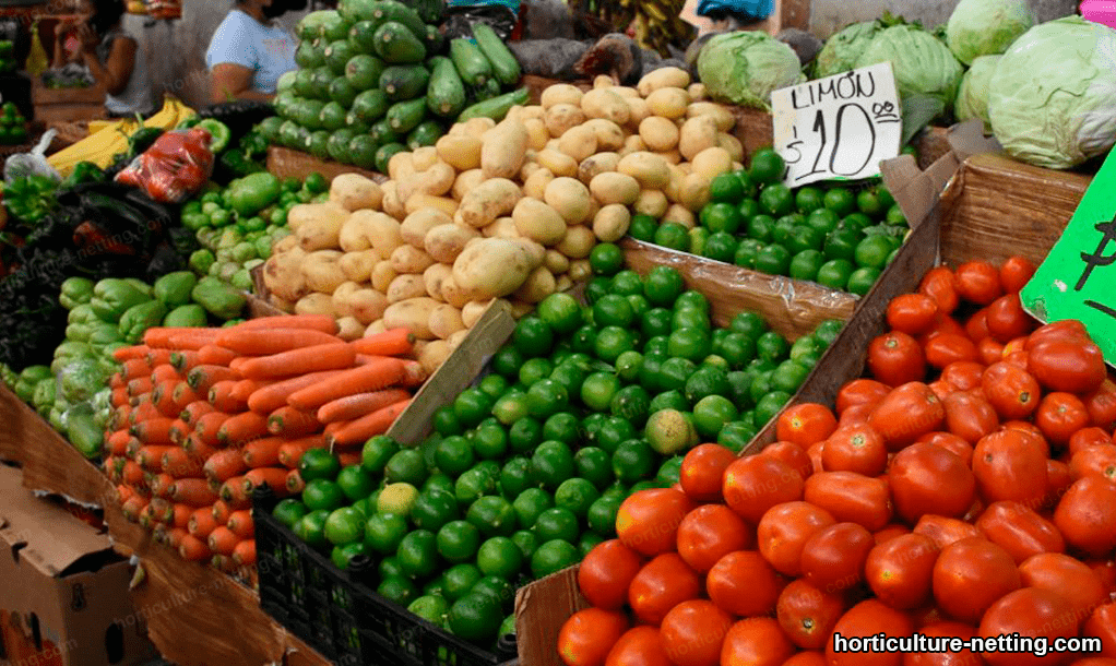 Vegetables in market